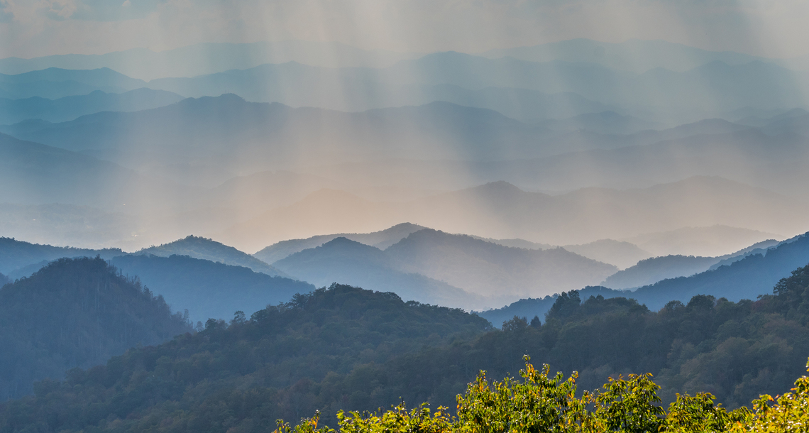 Subscribe to Receive Updates From The Davenant Institute