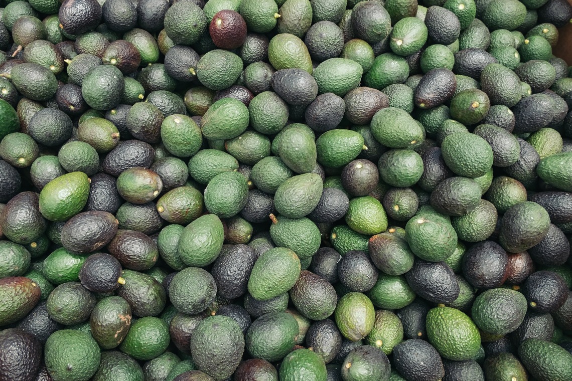 Existing Grower Pick Request (2025 Season)