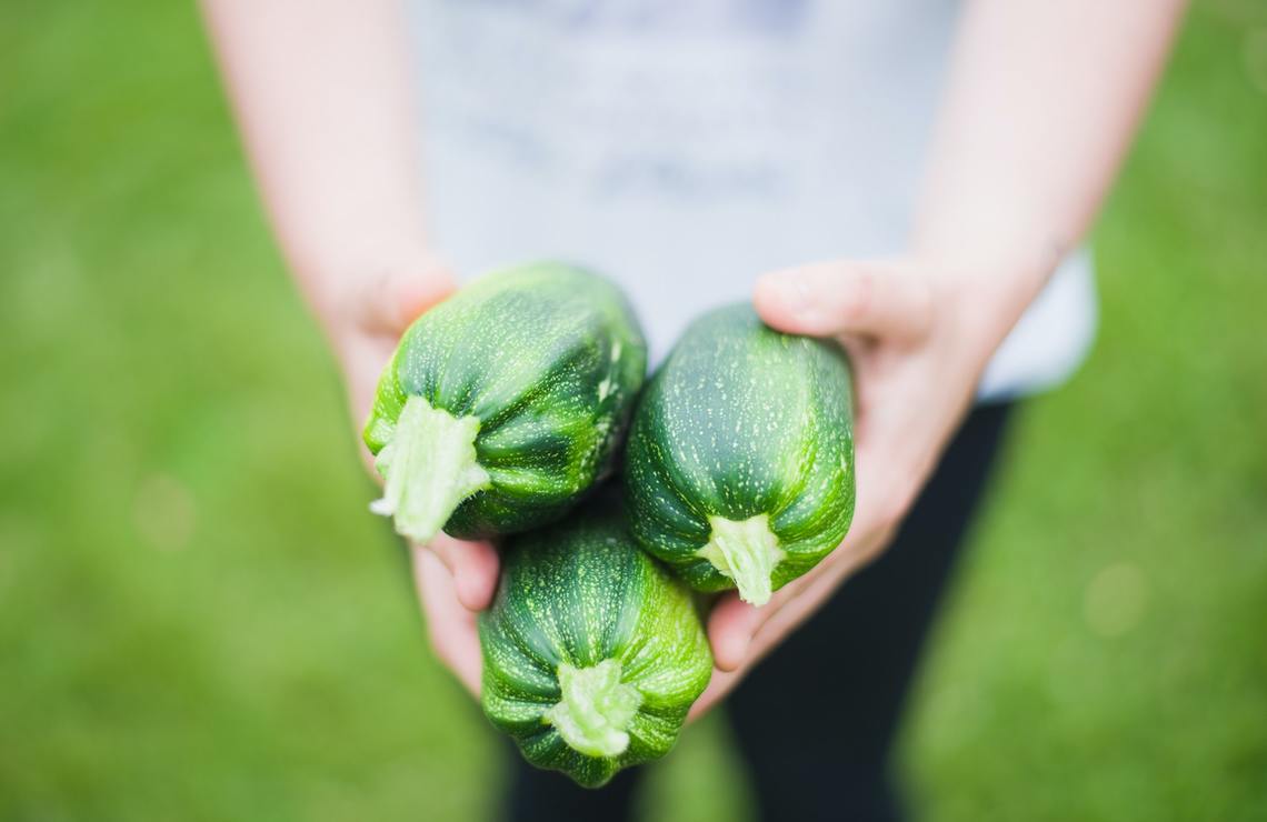 Garden Challenge: Captain Interest Form