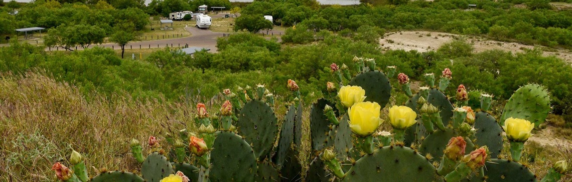 Loving Laredo Hike at Lake Casa Blanca
