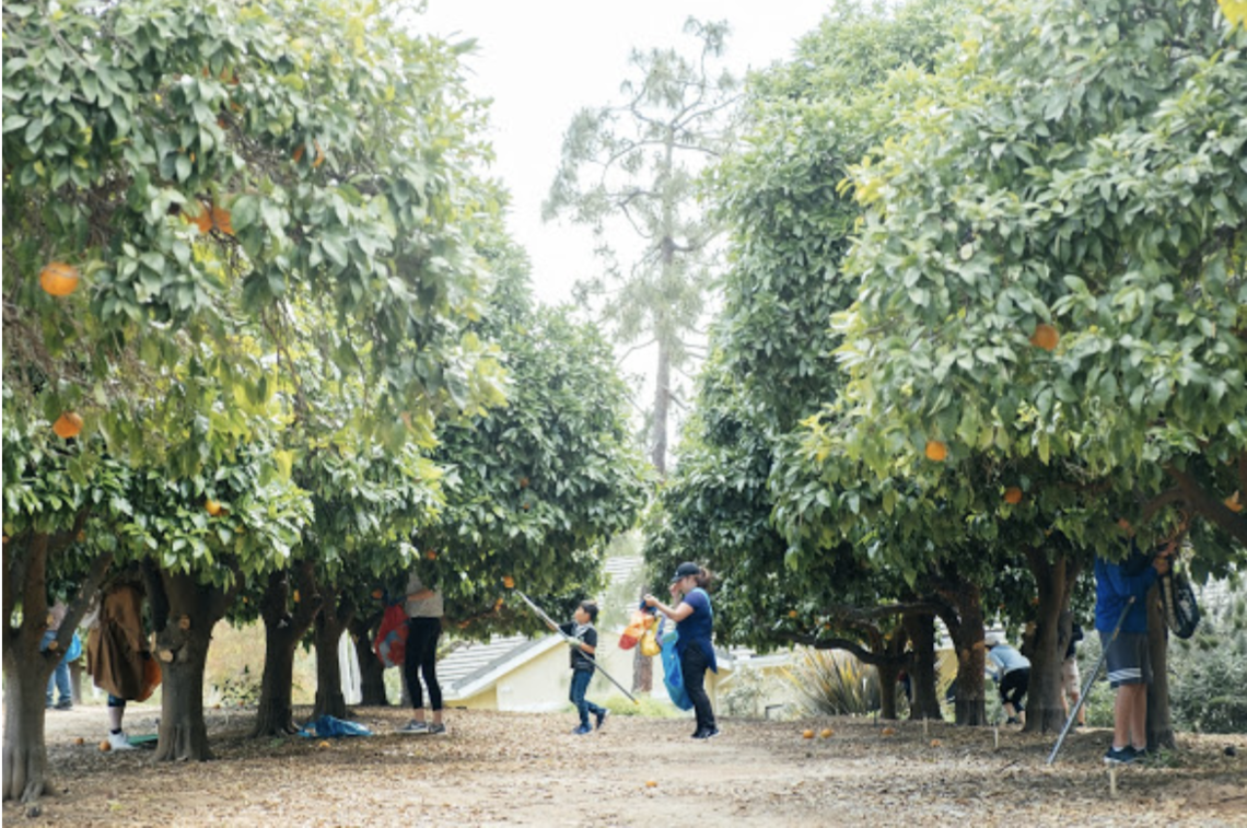 NEW Grower Registration (2025 Season)