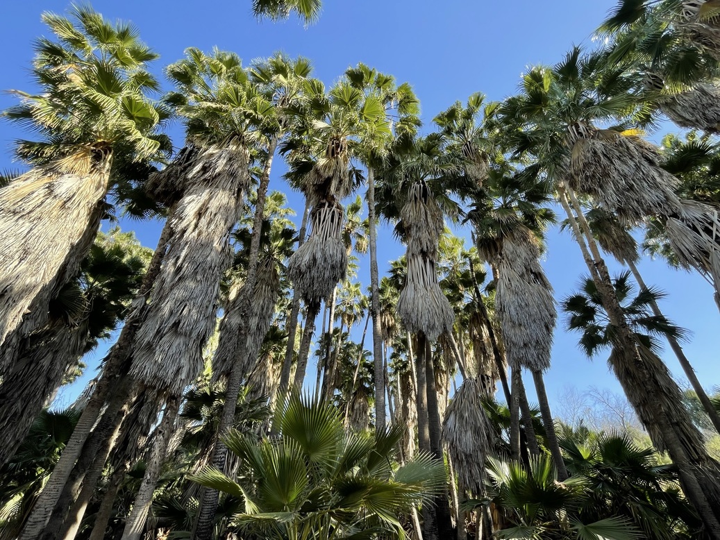 Loving Laredo Hike at Las Palmas + Zacate Creek 