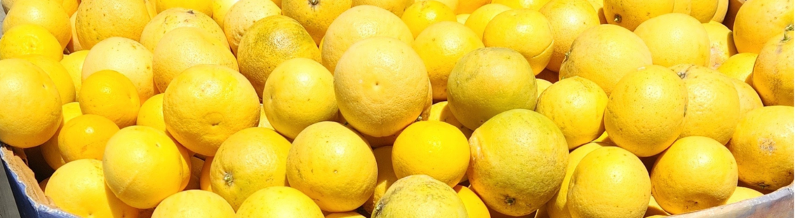 Feeding Partner Registration