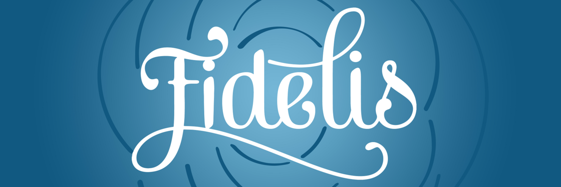 I'd like more information about Fidelis!