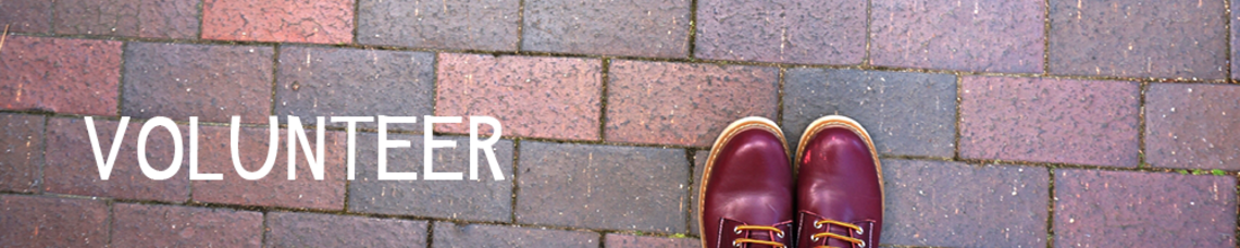 Volunteer Form for Individuals